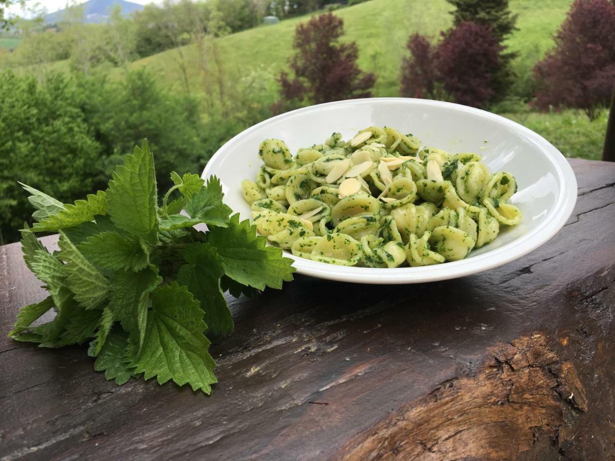 Agriturismo Gioie Di Campagna Fabriano Zewnętrze zdjęcie